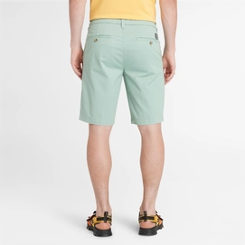 3---Stretch-Twill-Chino-Shorts-for-Men-in-Pale-Green (2)