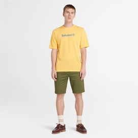 5---Stretch-Twill-Chino-Shorts-for-Men-in-Green (4)