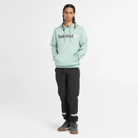 Linear-Logo-Hoodie-for-Men-in-Pale-Green (4)