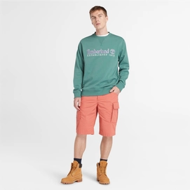 5---Est-1973-Logo-Crewneck-Sweatshirt-for-Men-in-Teal (4)