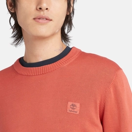 4---Garmentdyed-Jumper-for-Men-in-Red (3)