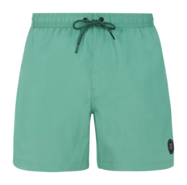 Boardshort Protest Men Faster Frosty Green 25