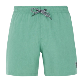 Beachshort Protest Men Davey Frosty Green 24