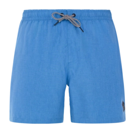 Beachshort Protest Men Davey Gladio Blue 24