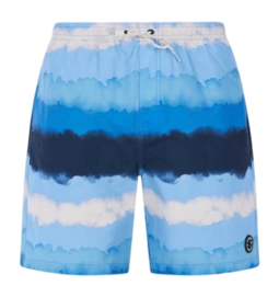 Short de Bain Protest Homme Prthamsey Gladio Blue