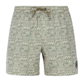 Badeshorts Protest Herren Prtflip Artischockengrün