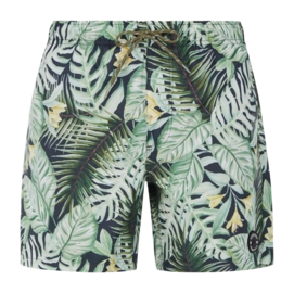 Beachshort Protest Men Prtglory Artichoke green
