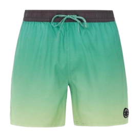 Badeshorts Protest Herren Prterin Frosty Grün