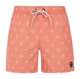 Beachshort Protest Men Prtalvis Blood Orange 24
