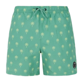 Beach Shorts Protest Men Prtalvis Frosty Green