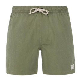 Badeshorts Protest Herren Prtwyton Artischockengrün