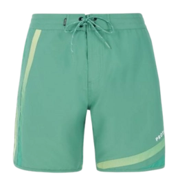 Short de Bain Protest Homme Prtlomo Frosty Green