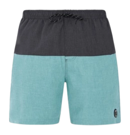 Boardshort Protest Men Prtheli Arctic Green