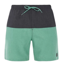 Short de Bain Protest Homme Prtheli Frosty Green