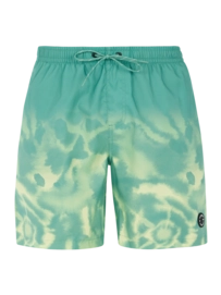 Beachshort Protest Men Prtagor Frosty Green