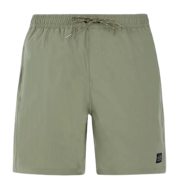 Badeshorts Protest Herren Prtbaky Artischockengrün
