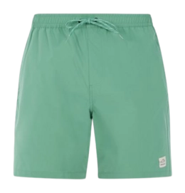Badeshorts Protest Herren Prtbaky Frosty Green