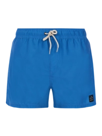 Beachshort Protest Men Prtstilo Gladio Blue 24