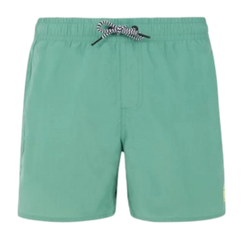 Short de Plage Protest Garçon Culture Frosty Green