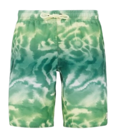Strandshort Protest Jungen Prtdaniel Frosty Green