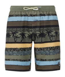 Beachshort Protest Boys Prtfrisby Artichoke Green 24