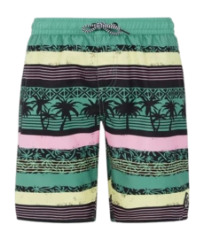 Short de Plage Protest Garçon Prtfrisby Frosty Green