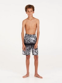 6---resize (26)