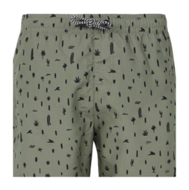 3---resize (8)-_no-bg