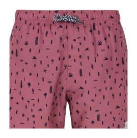 3---resize (16)-_no-bg