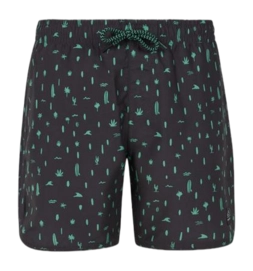 Beachshort Protest Boys Prtsaul Deep Grey 24