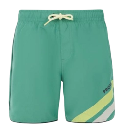 Short de Plage Protest Garçon Prtmelvin Frosty Green