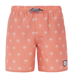 Beachshort Protest Boys Prtfonz Blood Orange 24