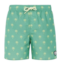 Short de Plage Protest Garçon Prtfonz Frosty Green