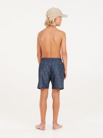 7---resize (19)