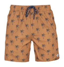 Zwembroek Barts Men Bernardou Shorts Terra