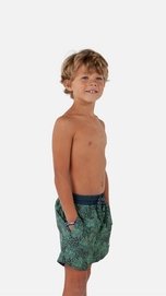 3---3119_03_MS1