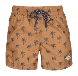 Maillot de Bain Barts Boys Bernardou Shorts Terra