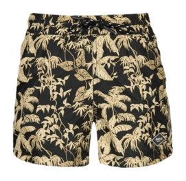 Zwembroek Barts Boys Baltra Shorts Black