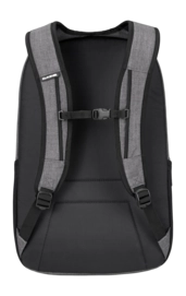 2---CAMPUSL33L-CARBON-194626553429_10004336_CARBON-52M_BACK_2000x-_no-bg