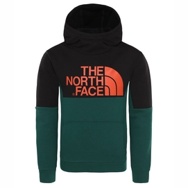 Trui The North Face Youth South Peak Hoody Night Green TNF Black