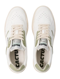 2---gen1-white-aloe-top-_no-bg