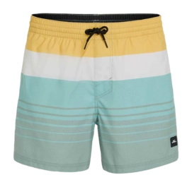 Swimming Trunks O'Neill Men Mix & Match Cali Print 15 inch Green Mix&Match Panel Print