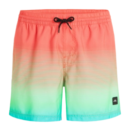 Swimming Trunks O'Neill Men Jack O'Neill Cali Gradient 15 inch Living Coral Simple Gradient Panel