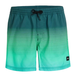 Swimming Trunks O'Neill Men Jack O'Neill Cali Gradient 15 inch Beetle Juice Simple Gradient Panel