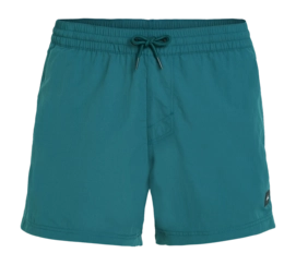 Zwembroek O'Neill Men Jack O'Neill Vert Retro 14 inch Beetle Juice