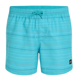 Swimming Trunks O'Neill Men Jack O'Neill Cali First 15 inch Blue First Name Stripe