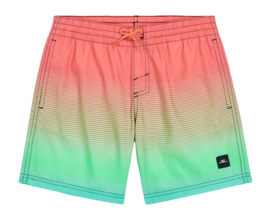 Swimming Trunks O'Neill Boys Jack O'Neill Cali Gradient 14 inch Living Coral Simple Gradient Panel