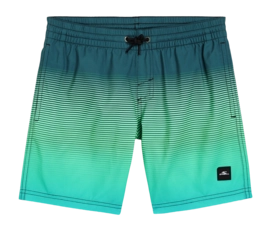 Swimming Trunks O'Neill Boys Jack O'Neill Cali Gradient 14 inch Beetle Juice Simple Gradient Panel