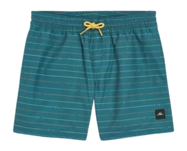 Badehose O'Neill Mix & Match Cali First 13 Inch Kinder Lily Pad First Name Stripe
