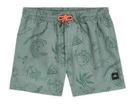 Badehose O'Neill Mix & Match Cali Print 13 Inch Kinder Green Vintage Surfer
